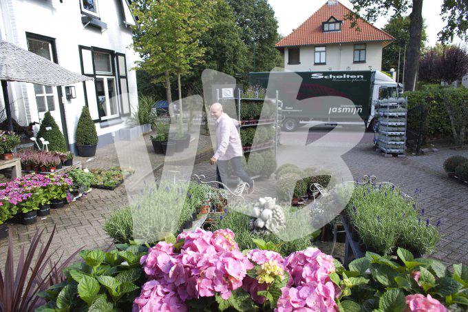 bloemen en planten vvbvanbree     1165